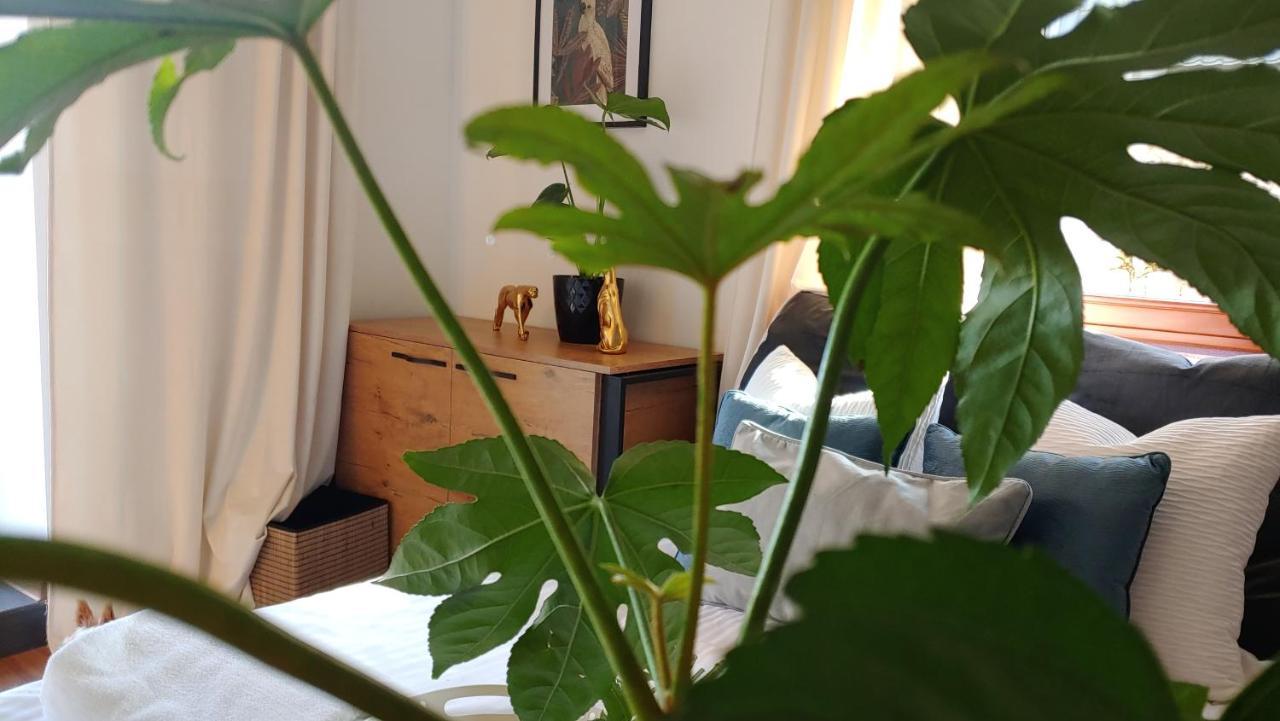 Apartament Dolce Vita Koscielisko Resort Екстер'єр фото